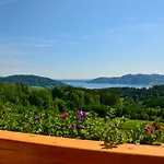 Hofer Superior ホテル Strass im Attergau