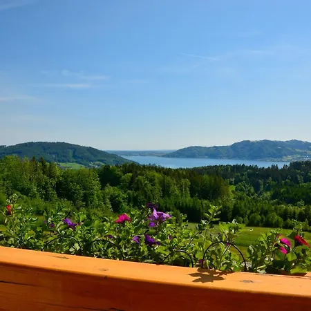 Hofer Superior Hotel Strass im Attergau